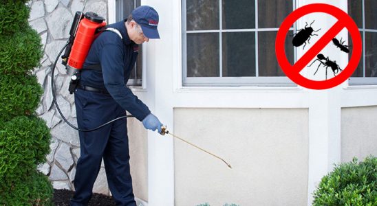 Nergiz Hamam Böceği İlaçlama böcek ilaçlama ve haşere kontrolü — ilaclama-tr.com